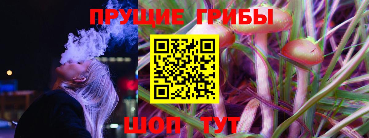 Псилоцибиновые грибы MAGIC MUSHROOMS  Вход с VPN  Гуково  Псилоцибиновые грибы Psilocybe 